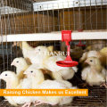 Moderate Price Tianrui 3 Tiers Automatic Battery Cages for Rearing Pullet